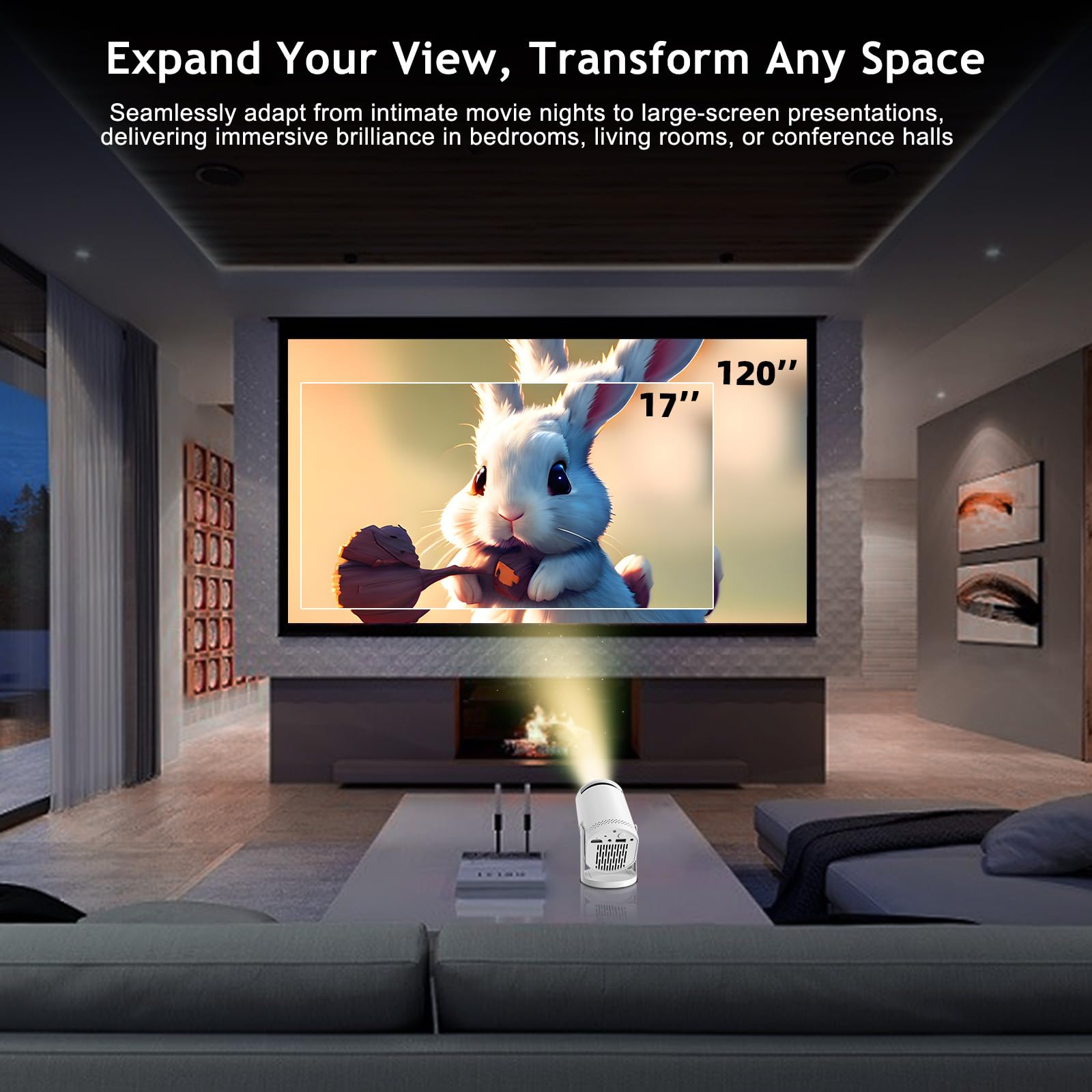 mini projector