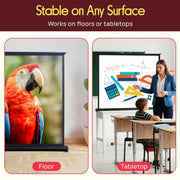 100 Inch Manual Pull Down Projector Screen