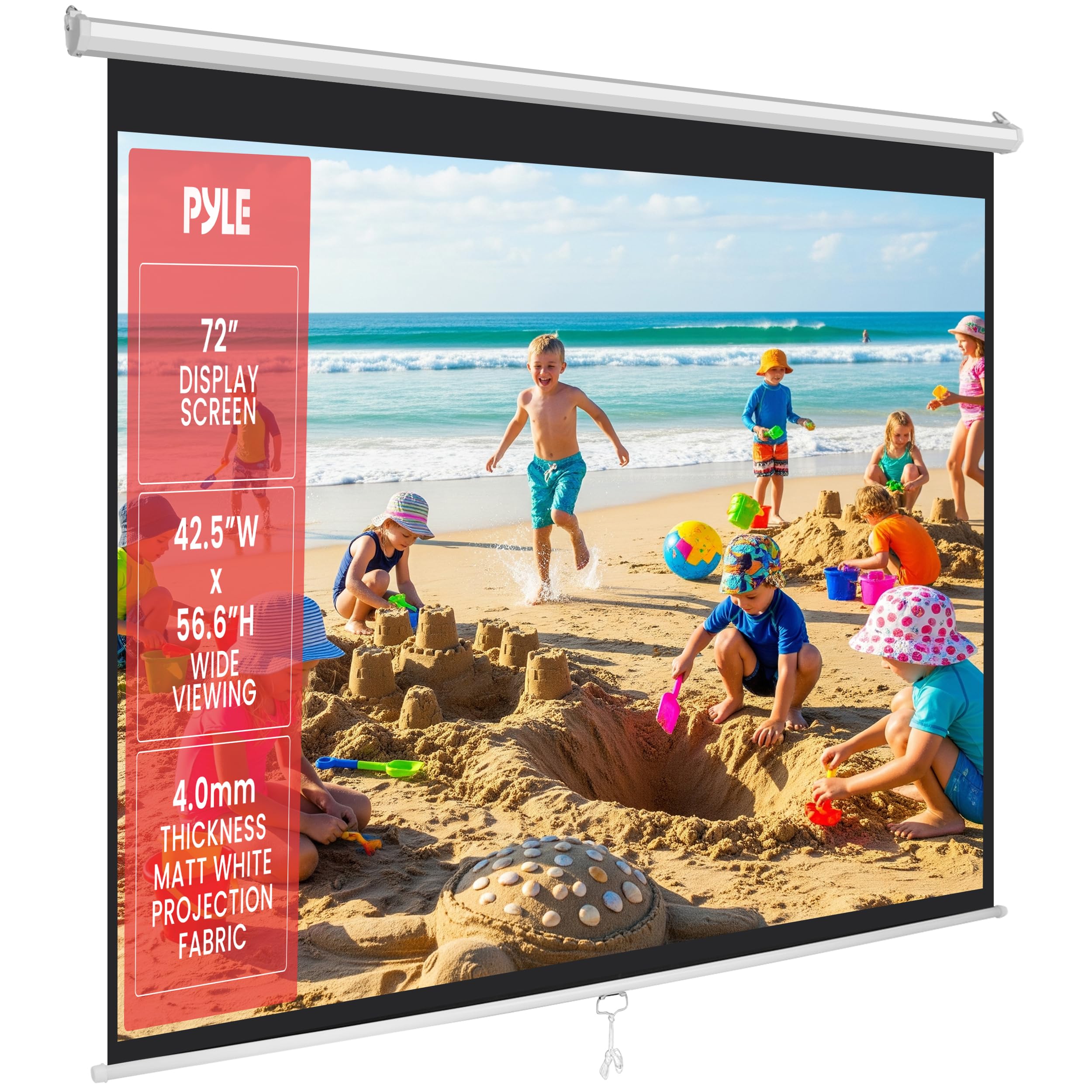 100 Inch Manual Pull Down Projector Screen